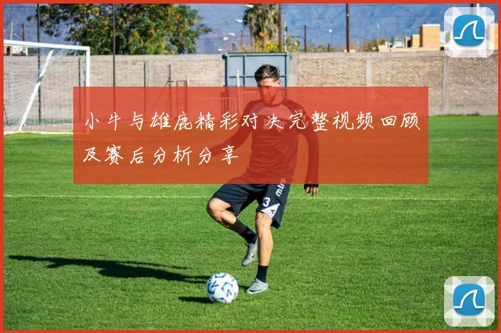 小牛与雄鹿精彩对决完整视频回顾及赛后分析分享
