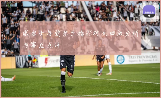 威尔士与爱尔兰精彩对决回放分析与赛后点评