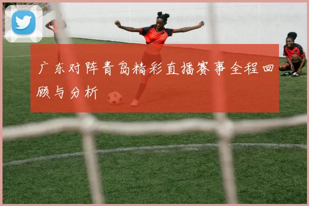 广东对阵青岛精彩直播赛事全程回顾与分析
