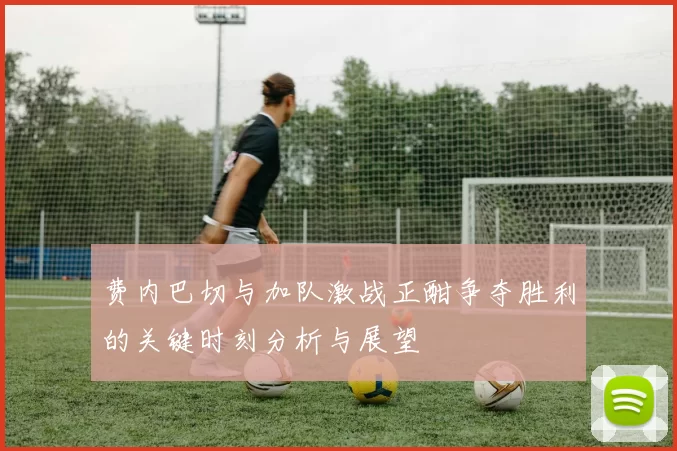 费内巴切与加队激战正酣争夺胜利的关键时刻分析与展望