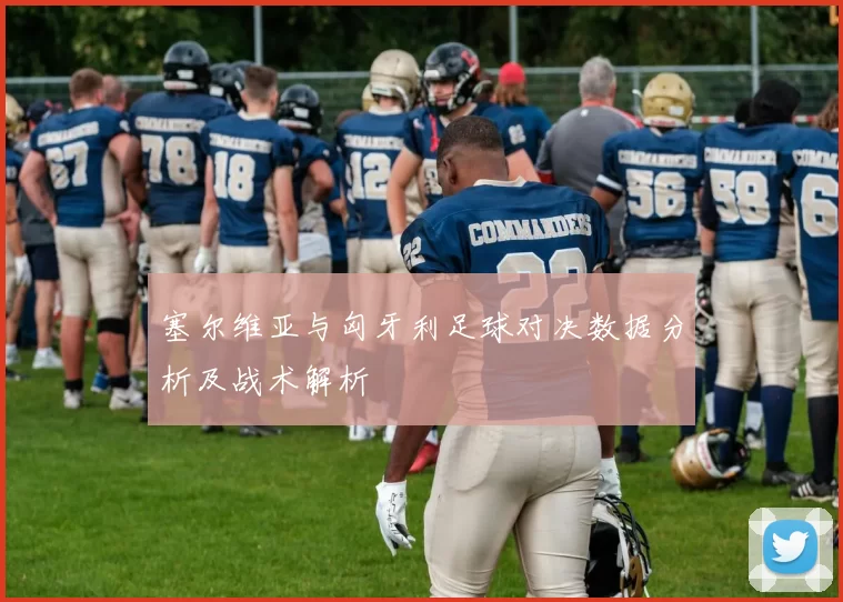 塞尔维亚与匈牙利足球对决数据分析及战术解析